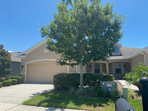 Property Image ID: 660